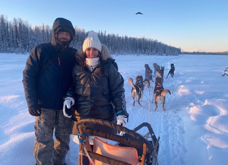 Willow: Traditional Alaskan Dog Sledding Ride