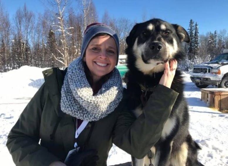 Picture 6 for Activity Willow: Traditional Alaskan Dog Sledding Ride