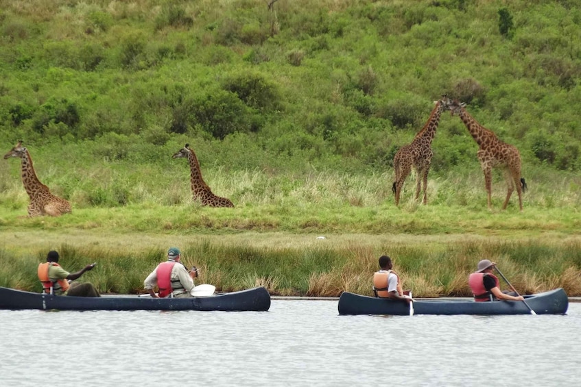 Picture 3 for Activity Nakuru National Park and Lake Naivasha Day Tour
