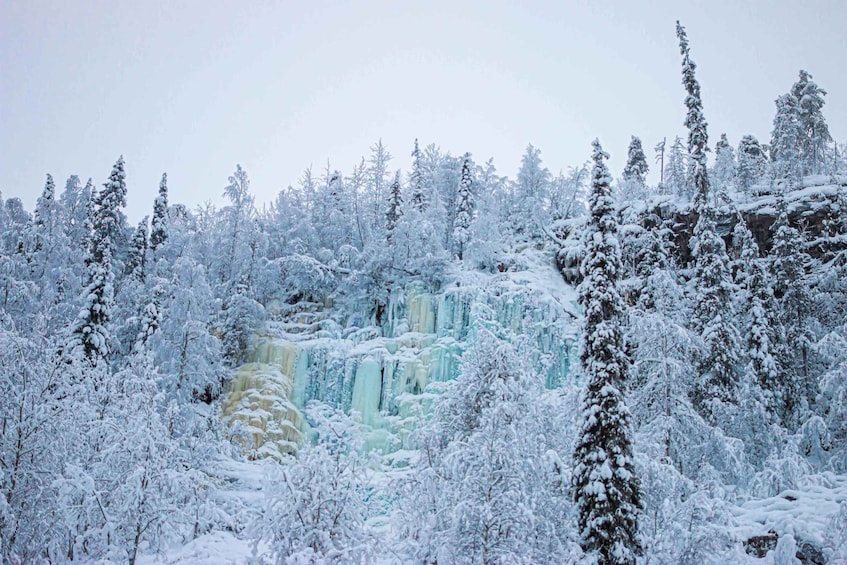 Picture 2 for Activity From Rovaniemi: Frozen Waterfalls of Korouoma Full-Day Tour