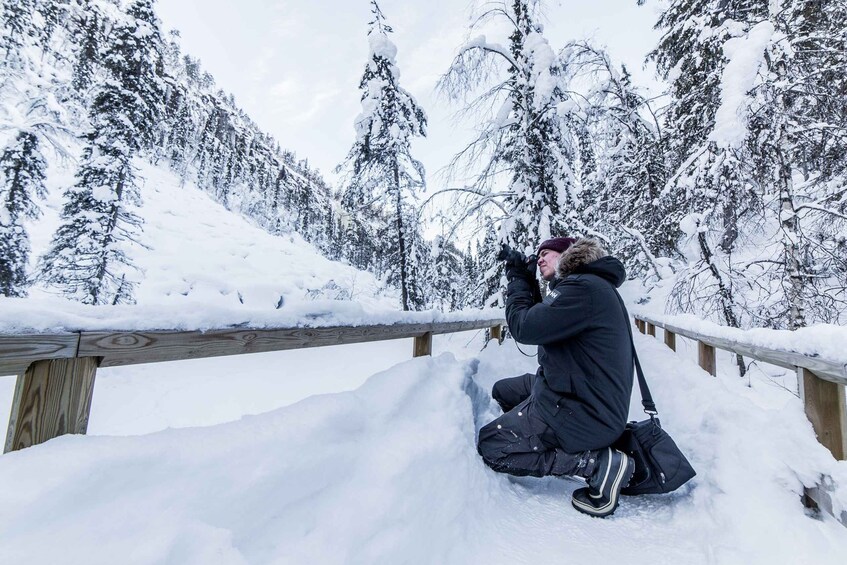 Picture 9 for Activity From Rovaniemi: Frozen Waterfalls of Korouoma Full-Day Tour
