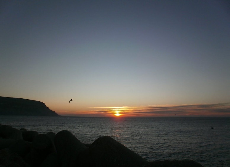 Sesimbra/Arrábida: Sunrise on Board Tour