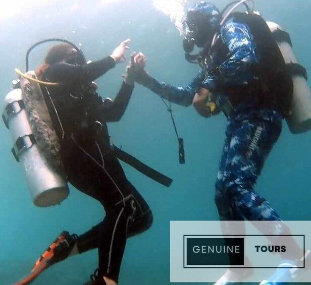 Picture 7 for Activity Moalboal: Scuba Diving with the Sardine and Sea Turtles