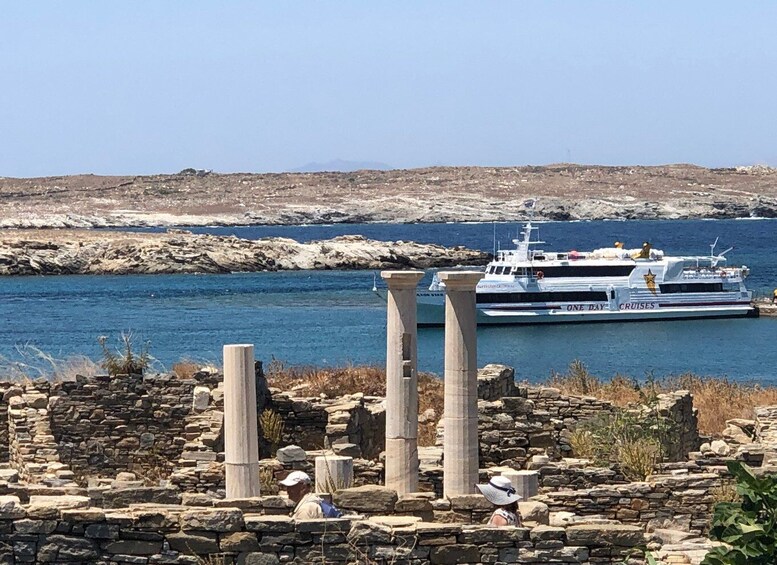 Picture 1 for Activity From Naxos: Delos and Mykonos Day Trip with Licensed Guide