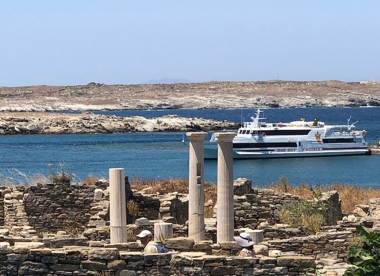 Picture 1 for Activity From Naxos: Delos and Mykonos Day Trip with Licensed Guide