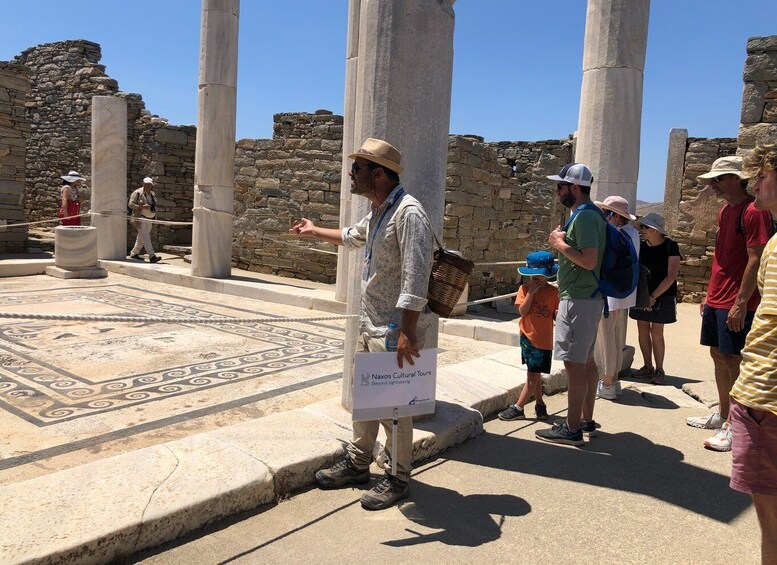 Picture 3 for Activity From Naxos: Delos and Mykonos Day Trip with Licensed Guide