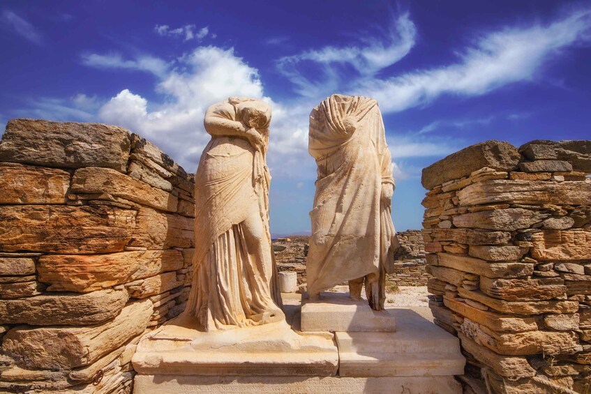 Picture 2 for Activity From Naxos: Delos and Mykonos Day Trip with Licensed Guide