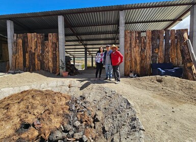 Mezcal Day Premium Tour delle distillerie familiari con pranzo