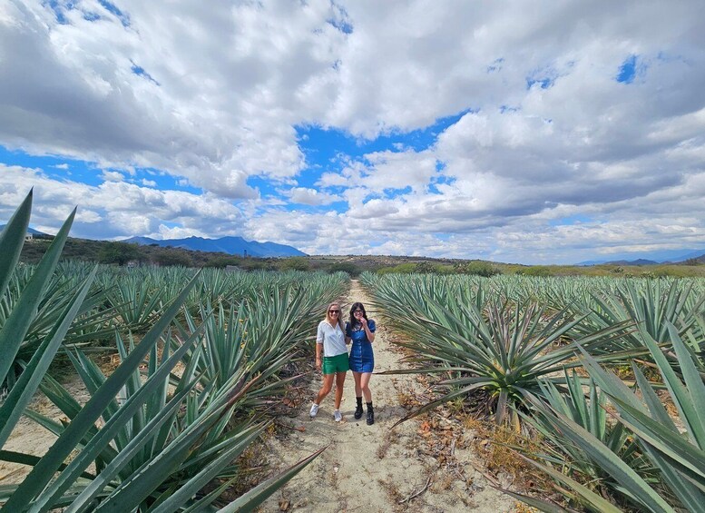 Picture 13 for Activity Mezcal Day Premium Family Distilleries Tour with Lunch