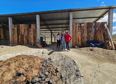 Mezcal Day Premium Family Distilleries Tour mit Mittagessen