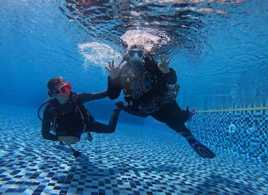 Experience Scuba Diving in Khor Fakkan, UAE