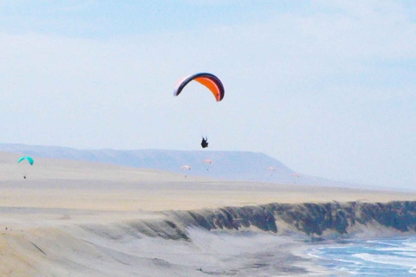 Picture 4 for Activity Paragliding Adventure: Soaring Over Paracas Reserve