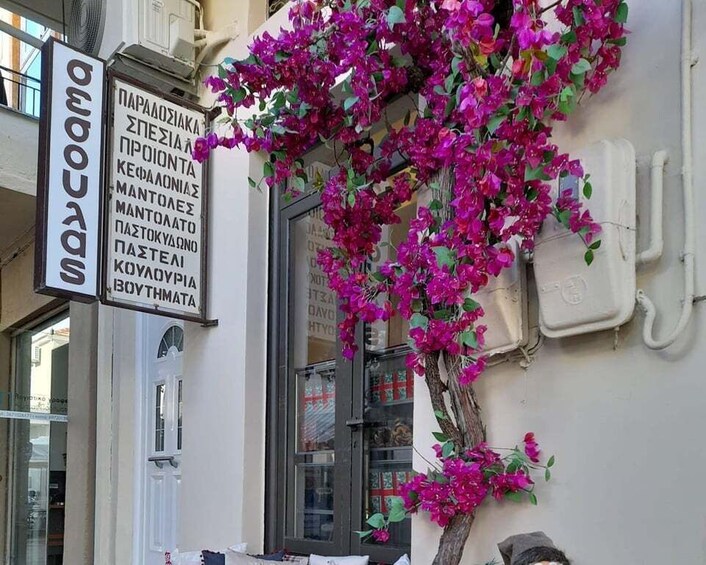 Picture 5 for Activity Argostoli Walking Tour - The Town's Tale on Foot