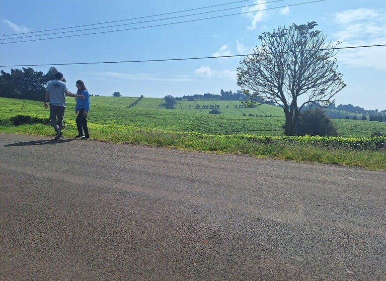 Picture 6 for Activity Coffee farm and factory tour