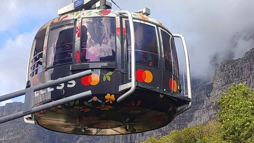 Cape Town: Table Mountain, Cape Point & Tur Pribadi Penguin