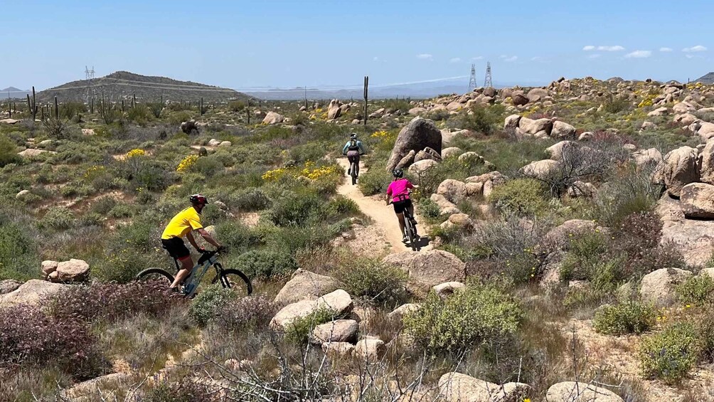 Picture 2 for Activity Scottsdale, AZ Private Guided Desert Mountain Bike Tours