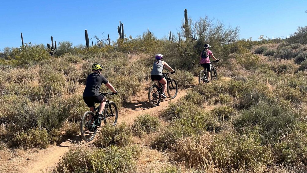 Picture 1 for Activity Scottsdale, AZ Private Guided Desert Mountain Bike Tours