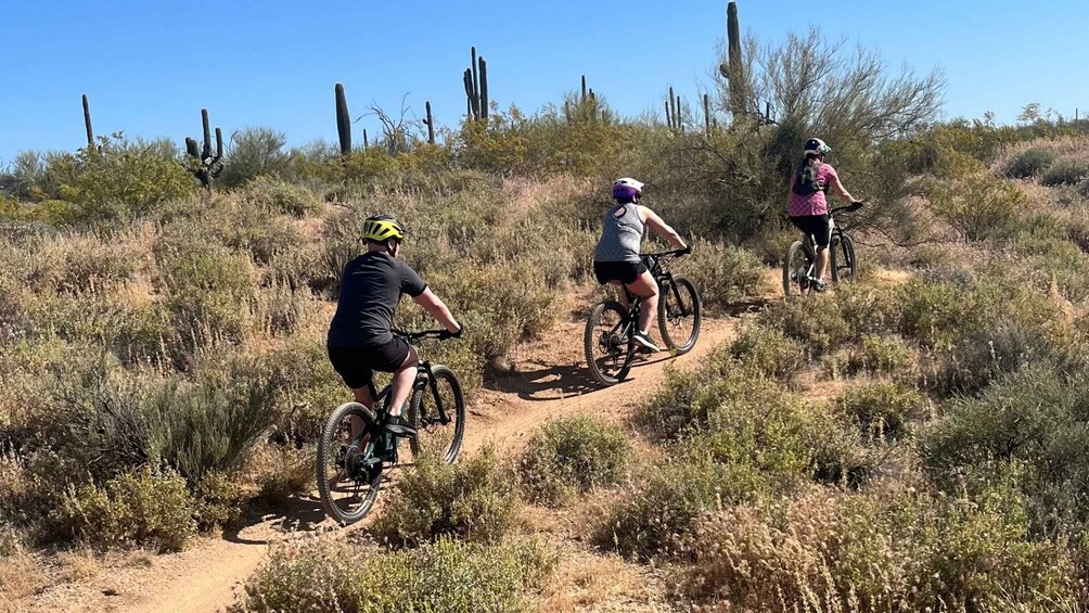 Picture 1 for Activity Scottsdale, AZ Private Guided Desert Mountain Bike Tours