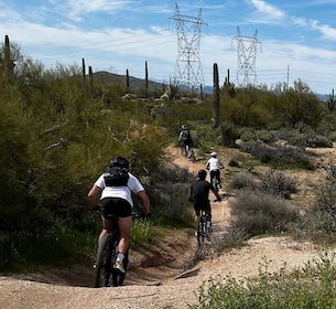 Scottsdale, AZ Private Guided Desert Mountain Bike Tours