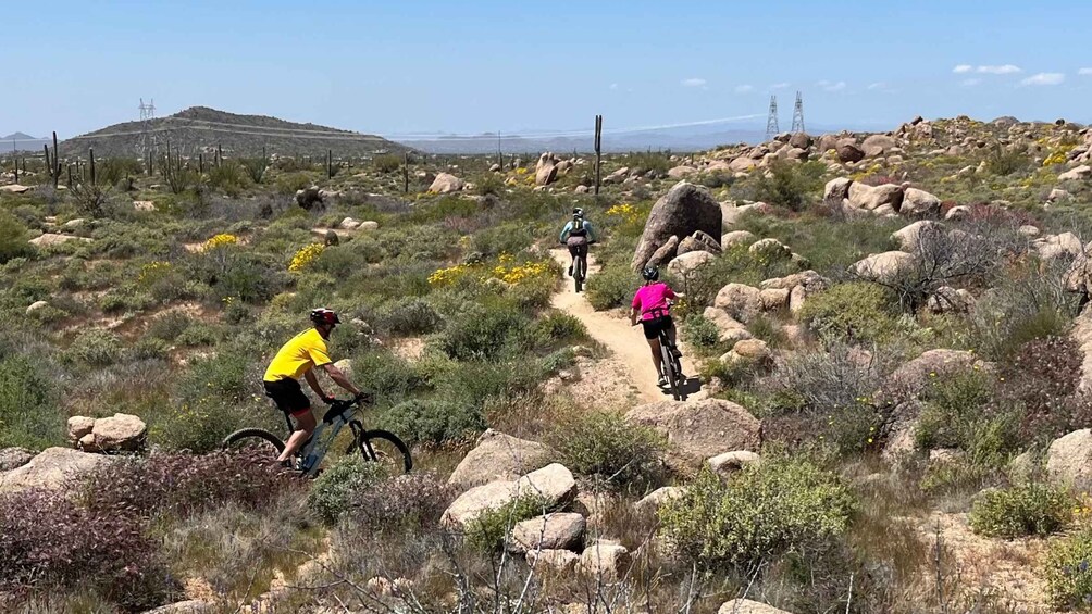 Picture 2 for Activity Scottsdale, AZ Private Guided Desert Mountain Bike Tours