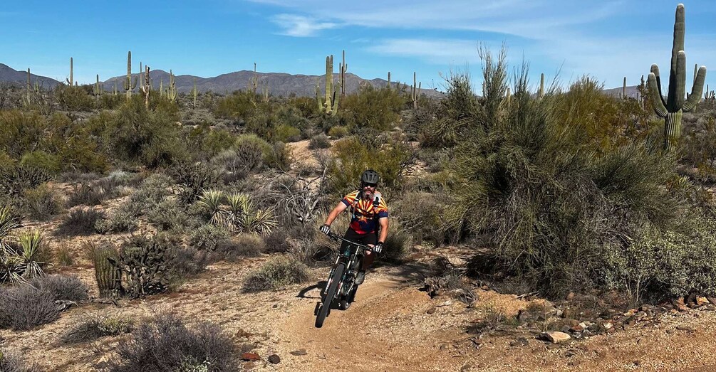 Picture 5 for Activity Scottsdale, AZ Private Guided Desert Mountain Bike Tours