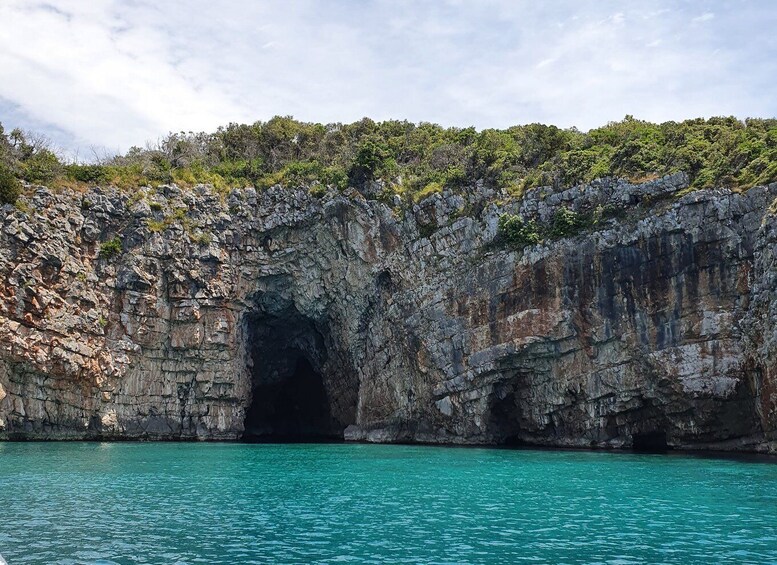 Picture 4 for Activity From Kotor: Blue Cave and Bay of Kotor Day Trip by Boat