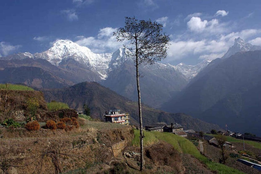 Poon Hill and Annapurna Base Camp Private Trek