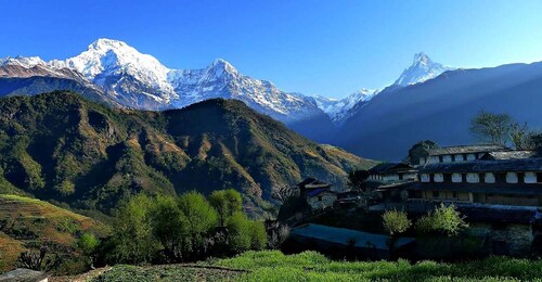 Pokhara: Poon Hill und Annapurna Base Camp Private Trek