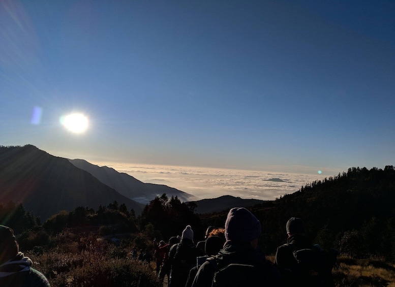 Picture 3 for Activity Pokhara: Poon Hill and Annapurna Base Camp Private Trek