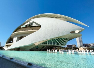 Cité des Arts et des Sciences Vélo privé excursion