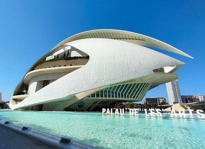 City of Arts and Sciences Private Bike tour