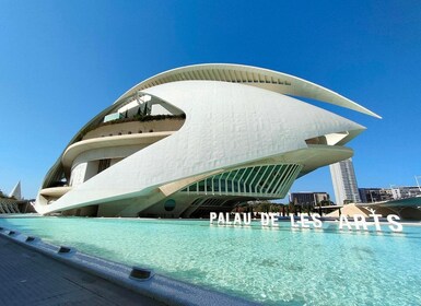 Recorrido privado en bicicleta por la Ciudad de las Artes y las Ciencias