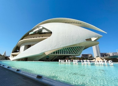 Cité des Arts et des Sciences Vélo privé excursion