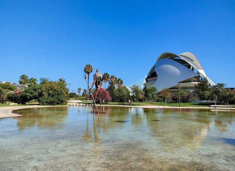 Picture 3 for Activity City of Arts and Sciences Private Bike tour