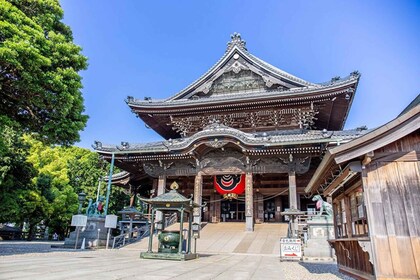TOYOKAWA INARI in Japan:Ultimate Luxurious Tours