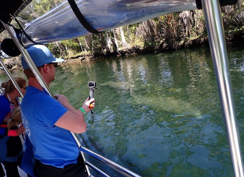 Picture 16 for Activity Crystal River: Manatee Swim Group Tour