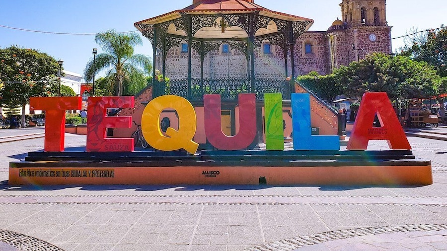 Picture 1 for Activity From Guadalajara: Town of Tequila & Jose Cuervo Factory Tour