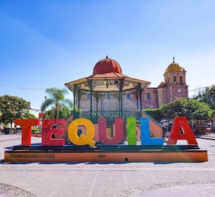 Vanuit Guadalajara: Stad van Tequila & Jose Cuervo Fabriekstour