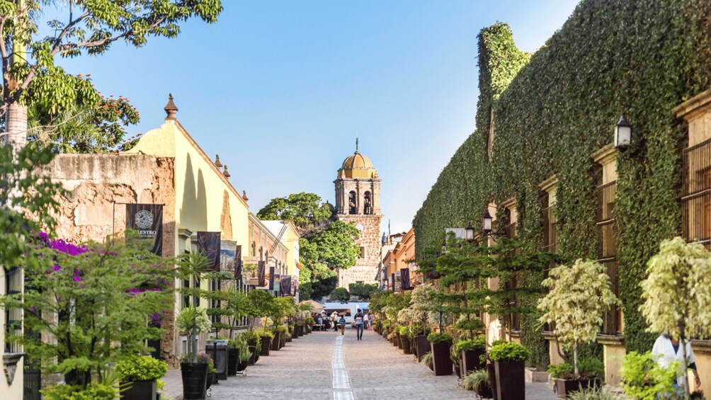 Picture 8 for Activity From Guadalajara: Town of Tequila & Jose Cuervo Factory Tour