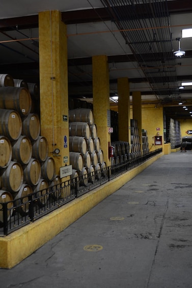 Picture 8 for Activity From Guadalajara: Town of Tequila & Jose Cuervo Factory Tour