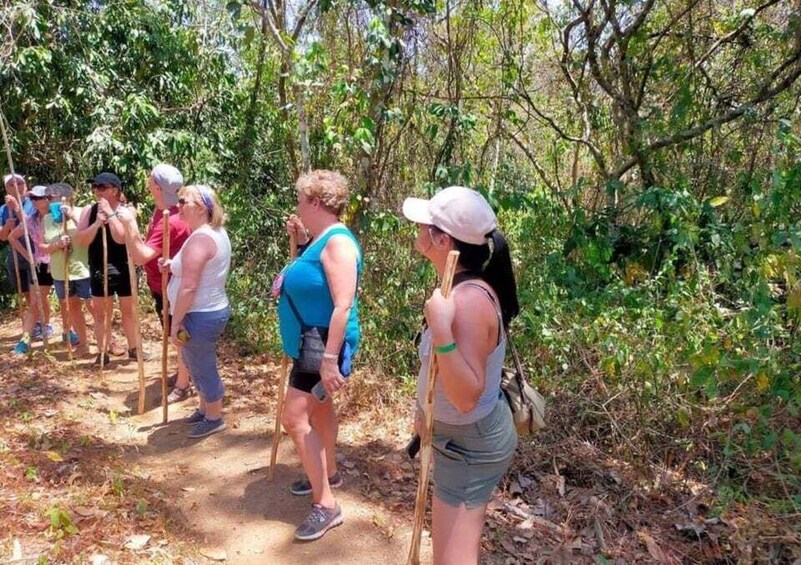 Picture 2 for Activity Huatulco: Private Coffee and Fruit Ranch Experience