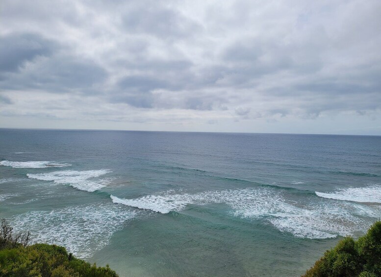 Picture 7 for Activity Luxury Private Great Ocean Road Tour – Up to 14 Guests