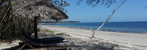 Pegunungan Usambara dan Pantai Pangani dan budaya