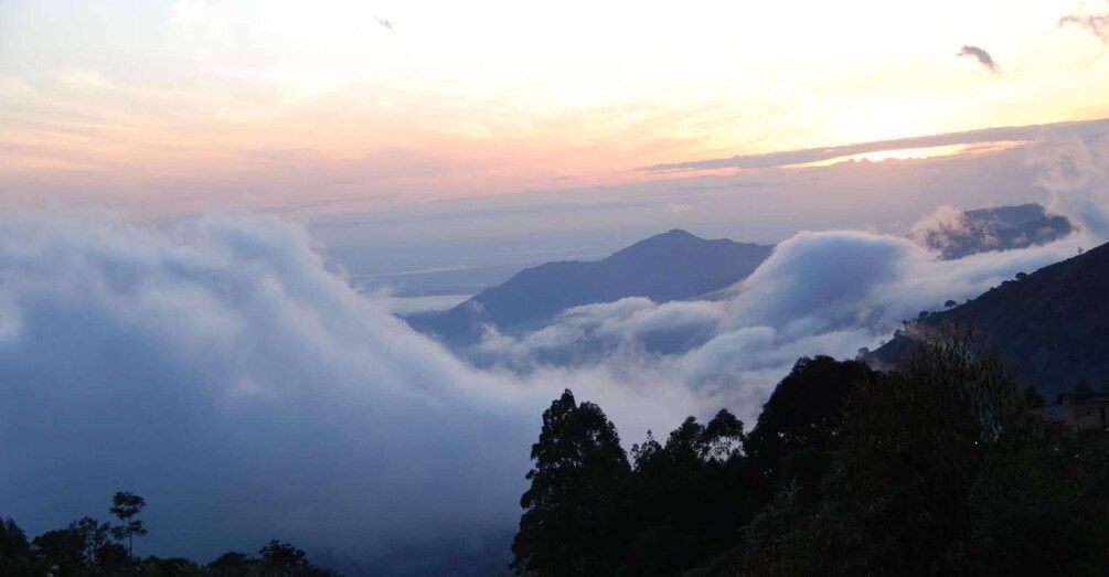 Picture 1 for Activity Usambara Mountains and Pangani Beach and cultural