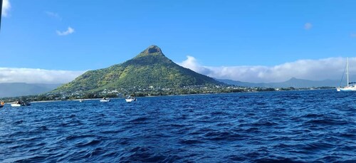 Private Dolphin Watching/Swimming with Halal Lunch on Island