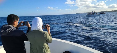 Private Dolphin Watching/Swimming with Halal Lunch on Island