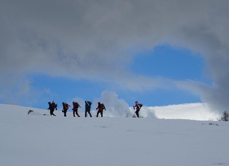 Picture 2 for Activity Private snowshoeing night trip and dinner in a refuge