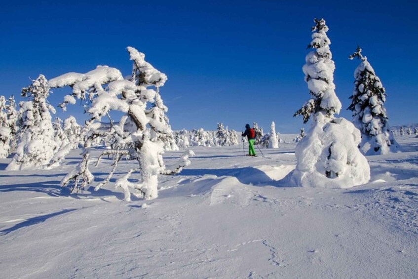 Picture 3 for Activity Private snowshoeing night trip and dinner in a refuge