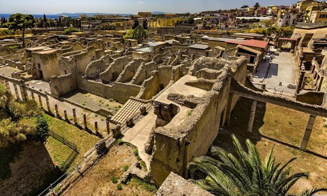 Herculaneum, Vesuvius, and Pompeii Trip