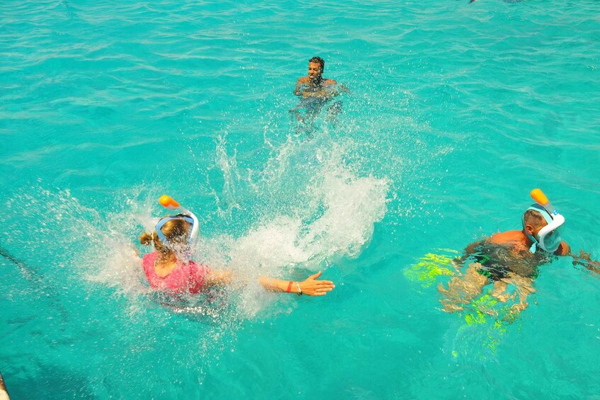 Picture 11 for Activity Hurghada: Dolphin Watching & Snorkeling w/ Private Transfer